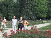 UTW Kutno img_1532.jpg